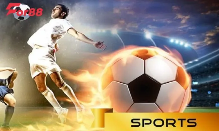 Chơi cược chấp thể thao hấp dẫn tại nhà cái 