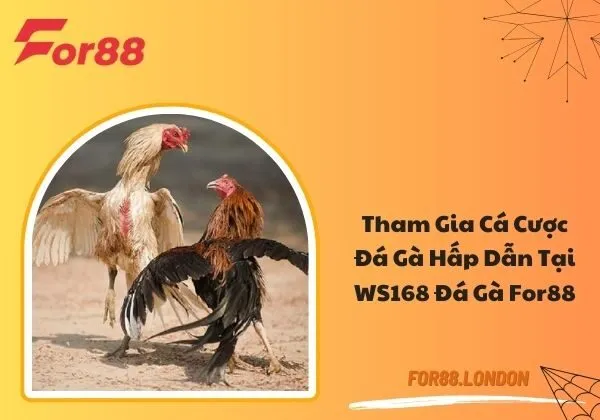 WS168 Đá gà For88